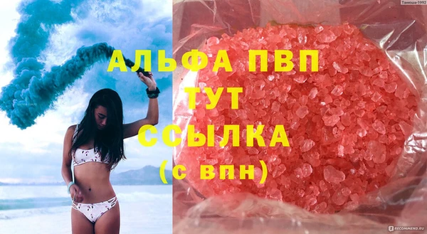 твердый Магас