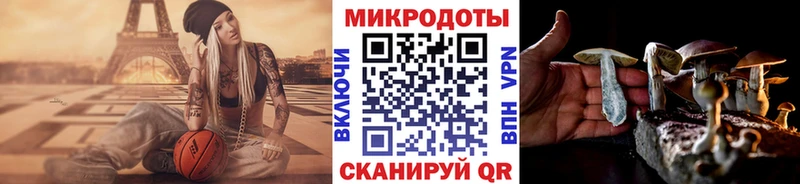 Псилоцибиновые грибы Psilocybe  купить   Ильский 